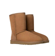 Stivali Donna "UGG" Classic Short II Chestnut